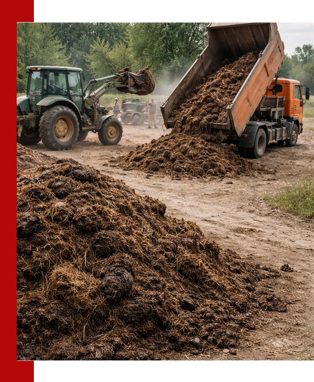 Доставка навоза самосвалами в Иваново для сельхозпотребностей